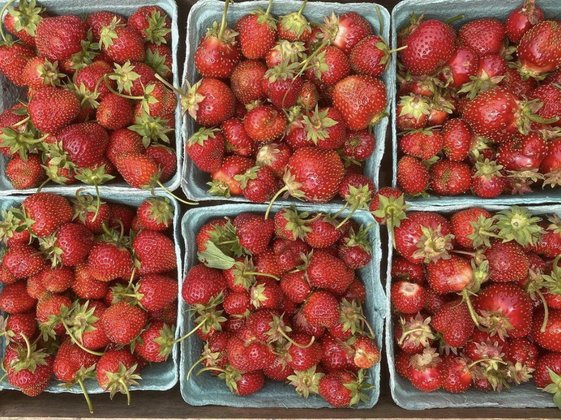 Organic Strawberry Preserves
