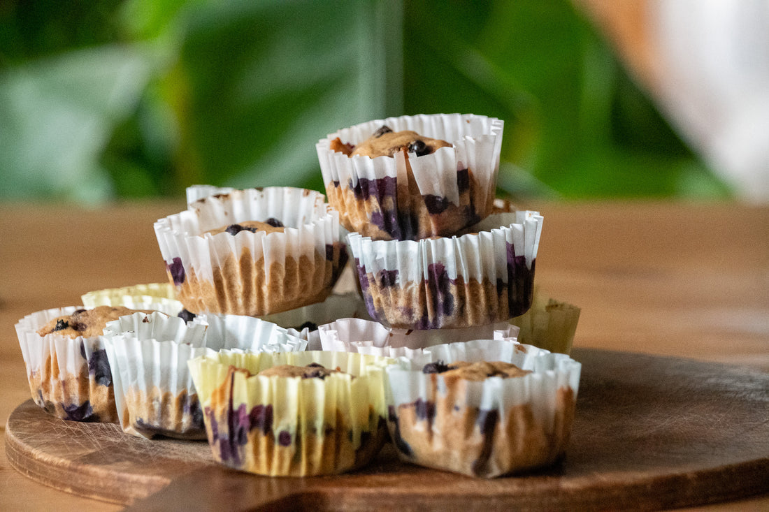 High-Protein Wild Blueberry Muffins