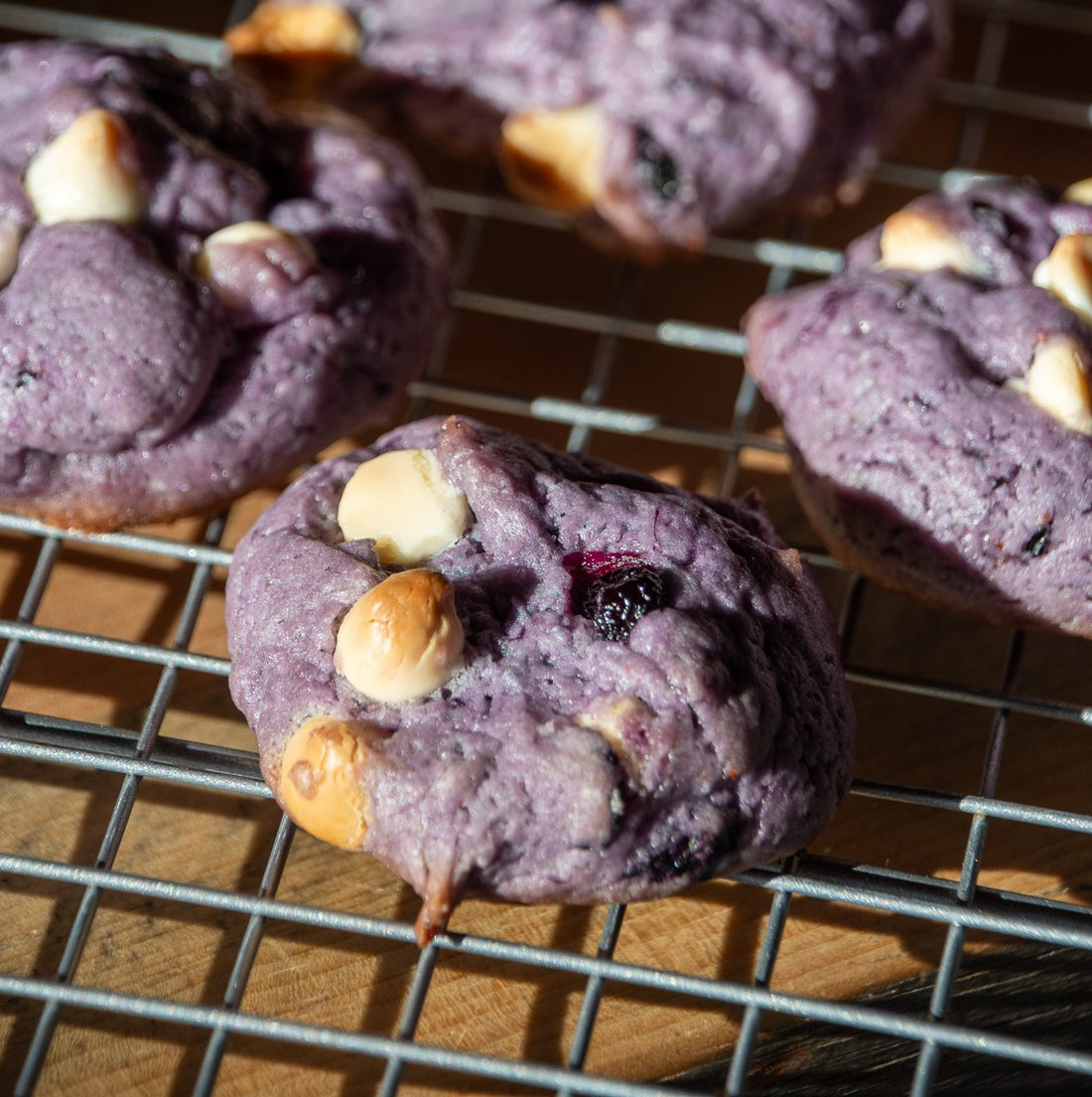Wild Blueberry Cookies