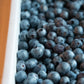 Organic Hand-Raked Wild Blueberries (Frozen) - 5 LB. Box.