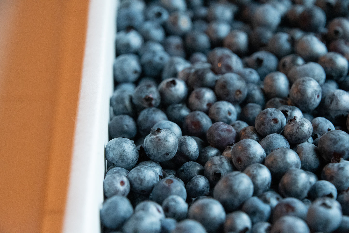 Organic Hand-Raked Wild Blueberries (Frozen) - 5 LB. Box.