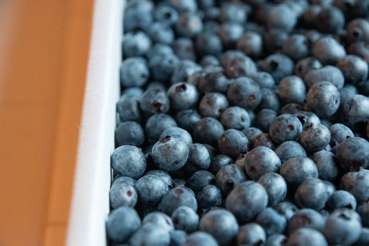 Organic Hand-Raked Wild Blueberries (Frozen) - 5 LB. Box.