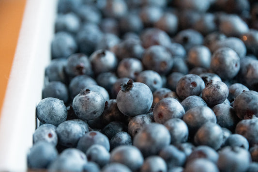 Organic Hand-Raked Wild Blueberries (Frozen) - 5 LB. Box.