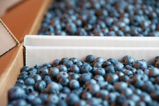 Organic Hand-Raked Wild Blueberries (Frozen) - 5 LB. Box.