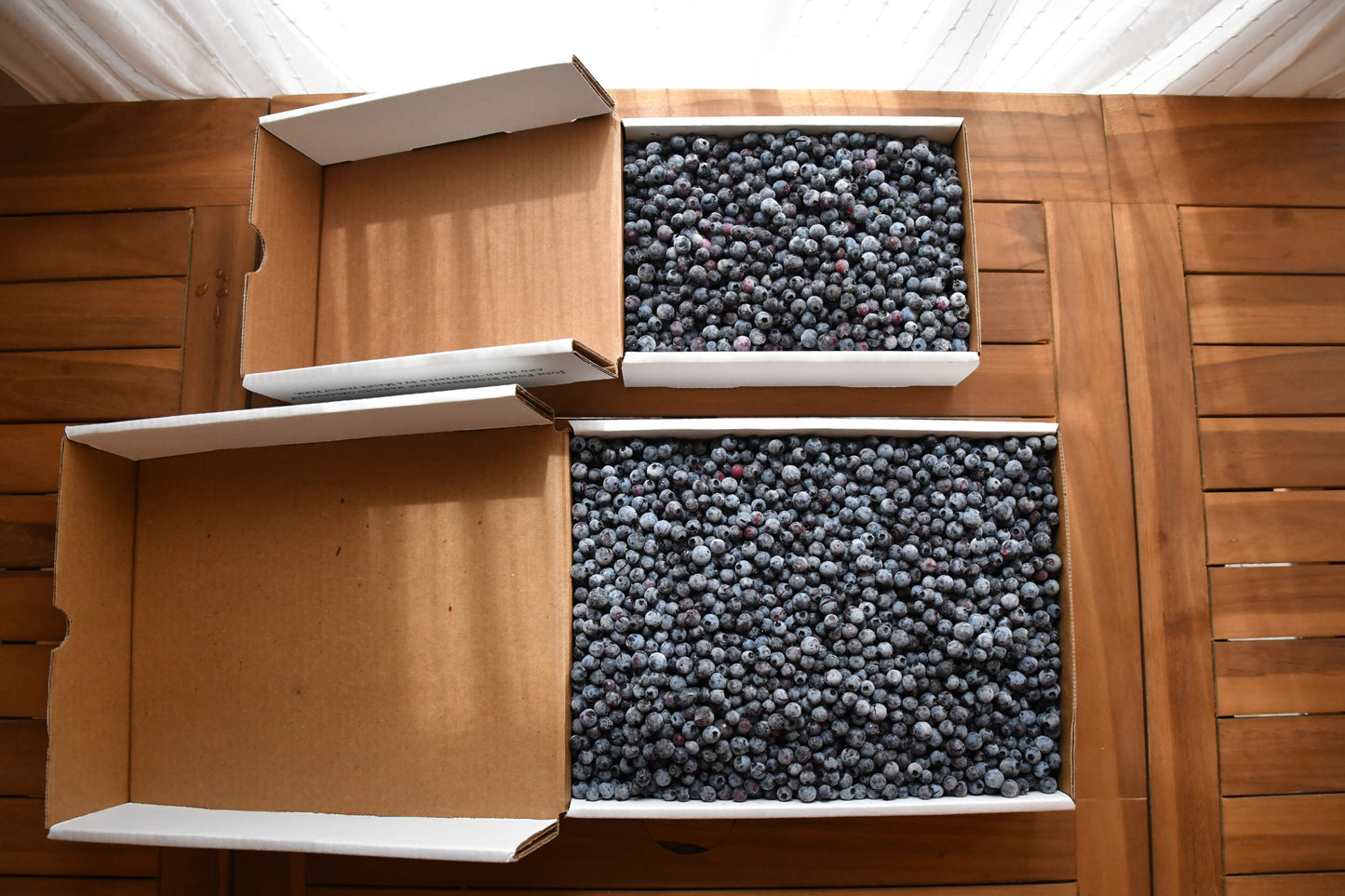 Organic Hand-Raked Wild Blueberries (Frozen) - 5 LB. Box.