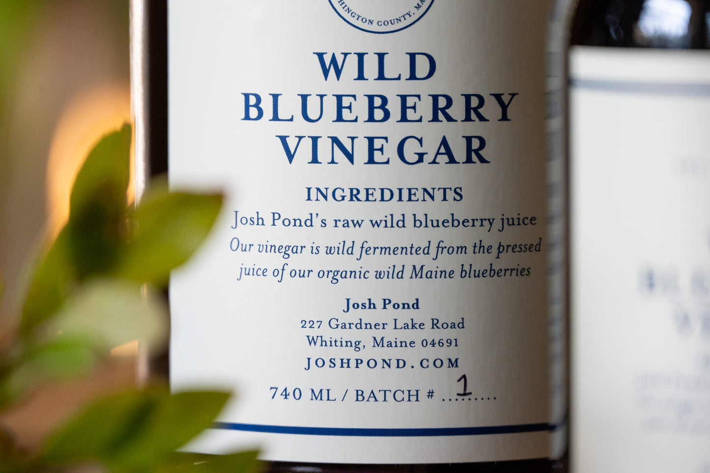 Wild Blueberry Vinegar