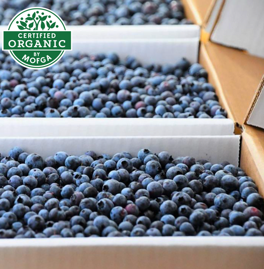 Organic Hand-Raked Wild Blueberries (Frozen) - 5 LB. box - Subscribe & Save